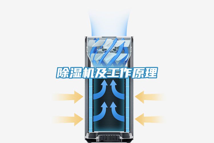 猫咪成人官网及工作原理