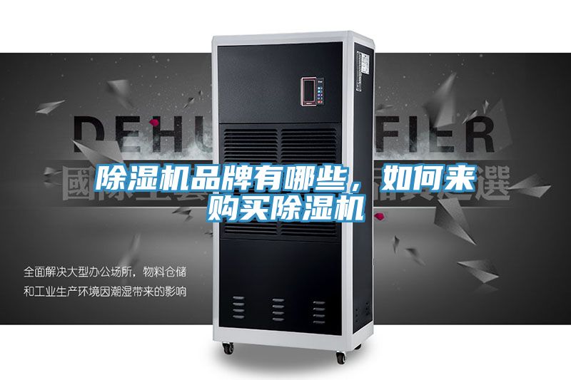 猫咪成人官网品牌有哪些，如何来购买猫咪成人官网