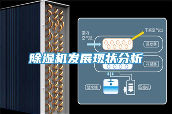 猫咪成人官网发展现状分析