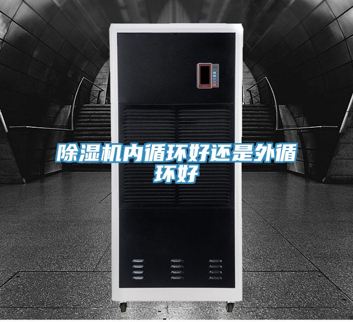 猫咪成人官网内循环好还是外循环好