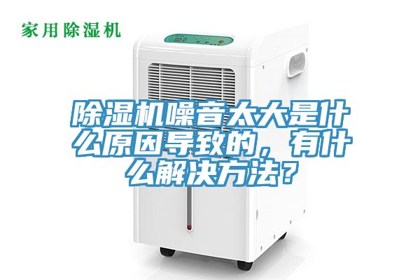猫咪成人官网噪音太大是什么原因导致的，有什么解决方法？