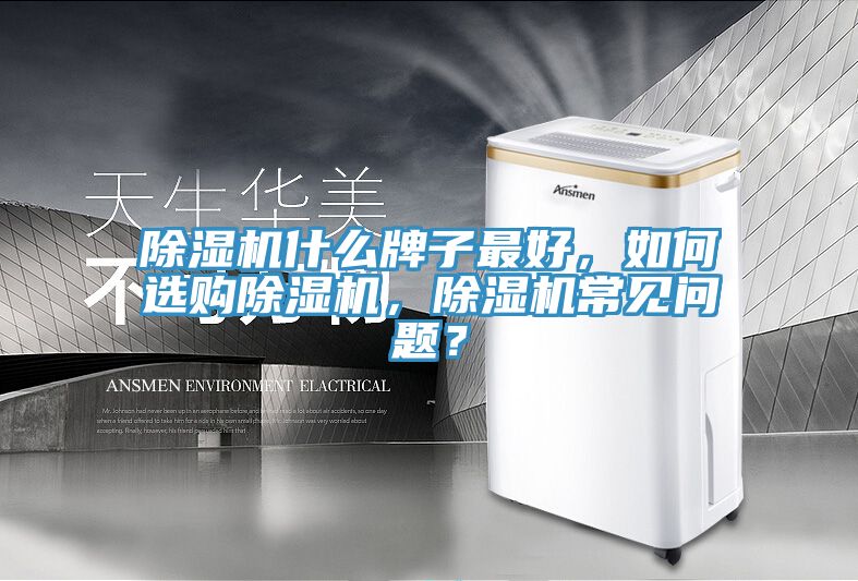 猫咪成人官网什么牌子最好，如何选购猫咪成人官网，猫咪成人官网常见问题？