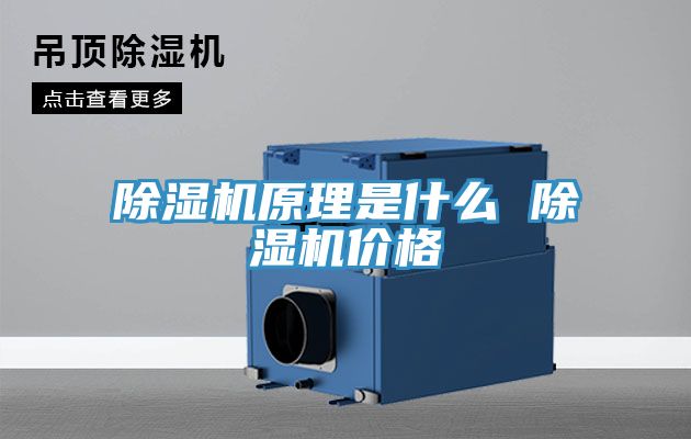 猫咪成人官网原理是什么 猫咪成人官网价格