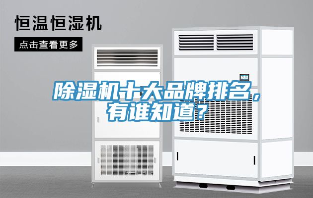 猫咪成人官网十大品牌排名，有谁知道？