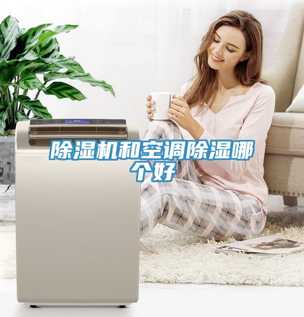 猫咪成人官网和空调除湿哪个好