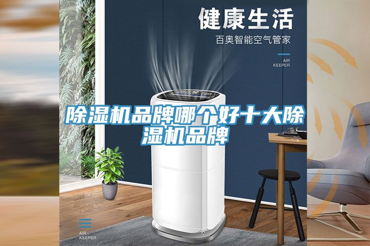猫咪成人官网品牌哪个好十大猫咪成人官网品牌