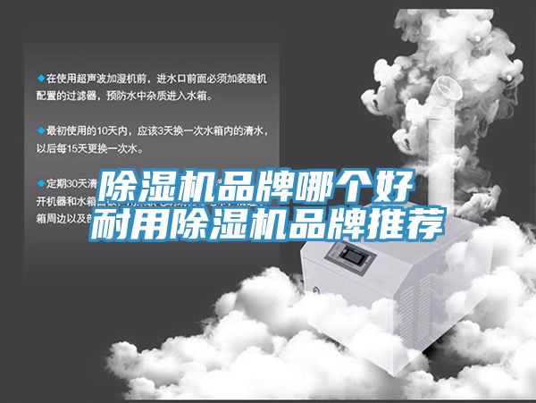 猫咪成人官网品牌哪个好 耐用猫咪成人官网品牌推荐