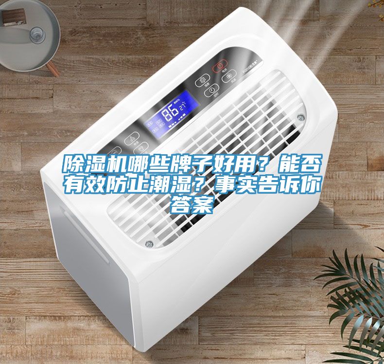 猫咪成人官网哪些牌子好用？能否有效防止潮湿？事实告诉你答案