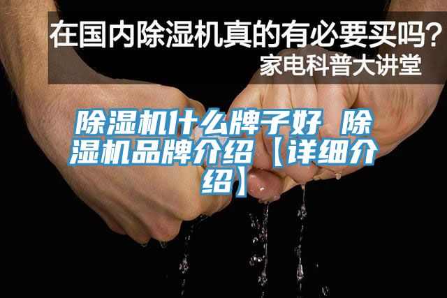 猫咪成人官网什么牌子好 猫咪成人官网品牌介绍【详细介绍】