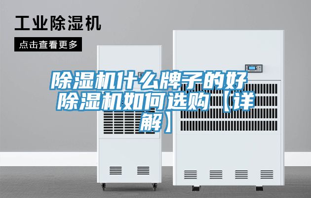 猫咪成人官网什么牌子的好 猫咪成人官网如何选购【详解】