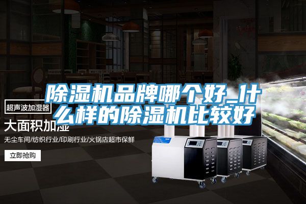 猫咪成人官网品牌哪个好_什么样的猫咪成人官网比较好