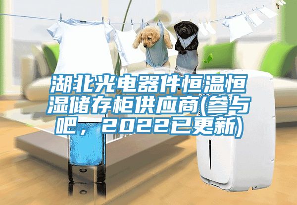 湖北光电器件恒温恒湿储存柜供应商(参与吧，2022已更新)