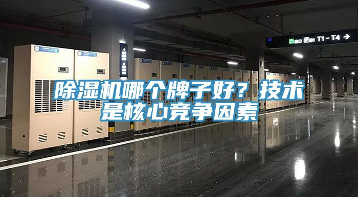 猫咪成人官网哪个牌子好？技术是核心竞争因素