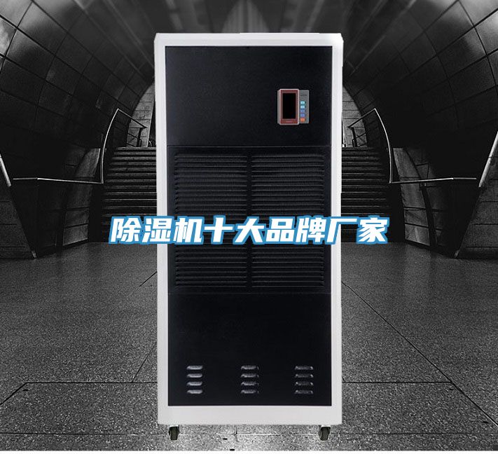 猫咪成人官网十大品牌厂家