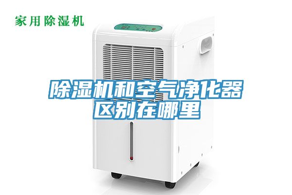 猫咪成人官网和空气净化器区别在哪里