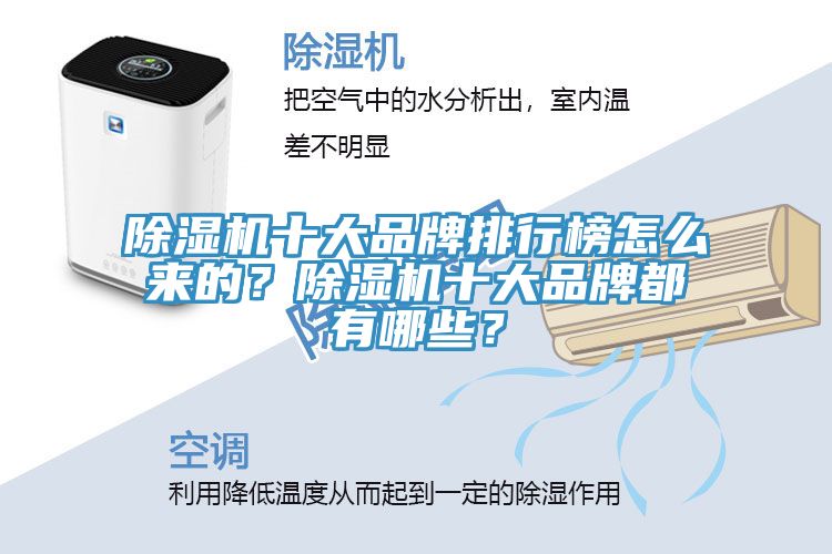 猫咪成人官网十大品牌排行榜怎么来的？猫咪成人官网十大品牌都有哪些？
