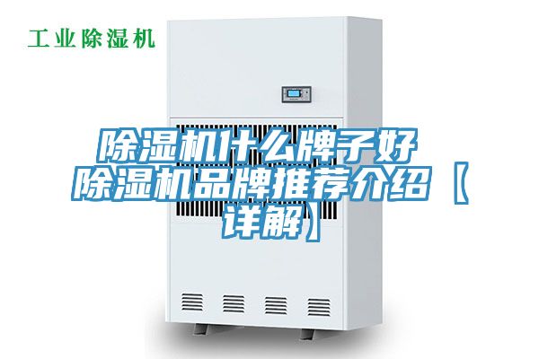 猫咪成人官网什么牌子好 猫咪成人官网品牌推荐介绍【详解】
