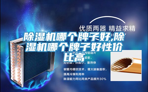 猫咪成人官网哪个牌子好,猫咪成人官网哪个牌子好性价比高