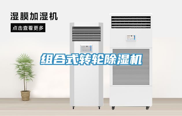 组合式转轮猫咪成人官网