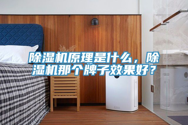 猫咪成人官网原理是什么，猫咪成人官网那个牌子效果好？