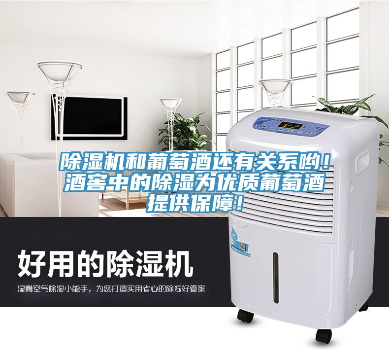 猫咪成人官网和葡萄酒还有关系哟！酒窖中的除湿为优质葡萄酒提供保障！