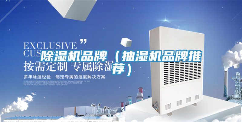 猫咪成人官网品牌（抽湿机品牌推荐）