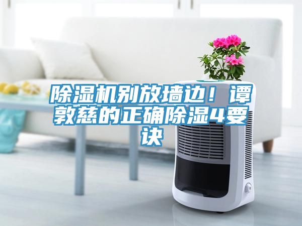 猫咪成人官网别放墙边！谭敦慈的正确除湿4要诀