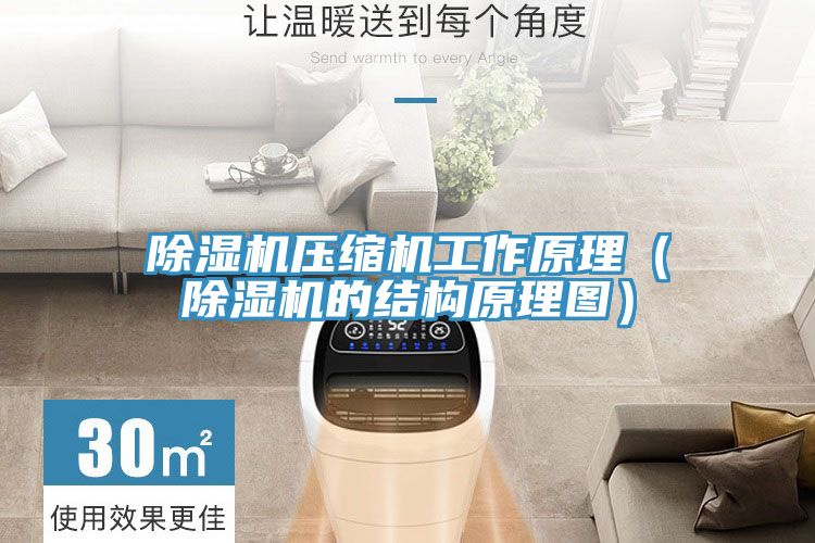 猫咪成人官网压缩机工作原理（猫咪成人官网的结构原理图）