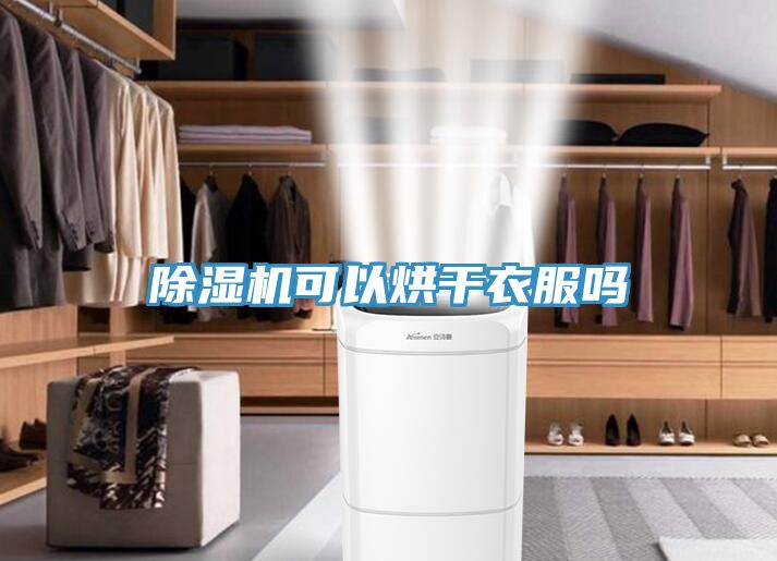 猫咪成人官网可以烘干衣服吗