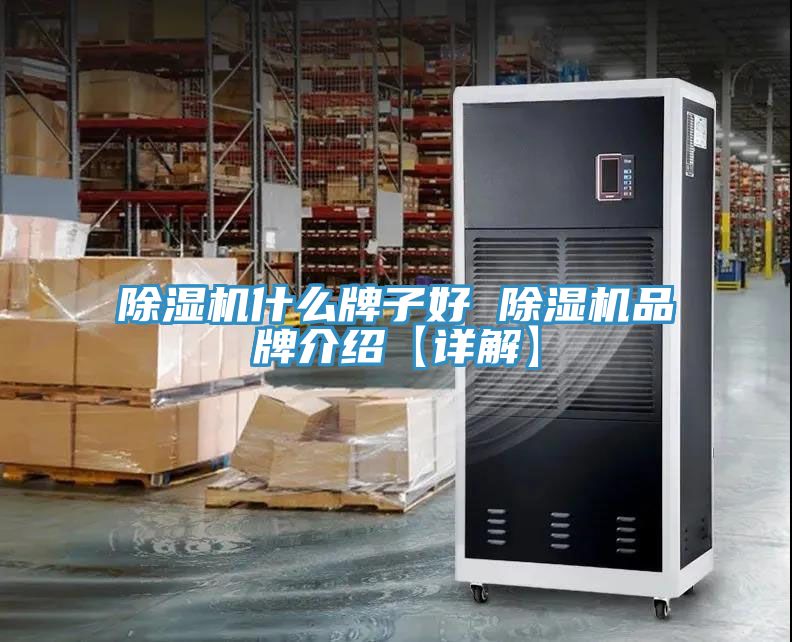猫咪成人官网什么牌子好 猫咪成人官网品牌介绍【详解】