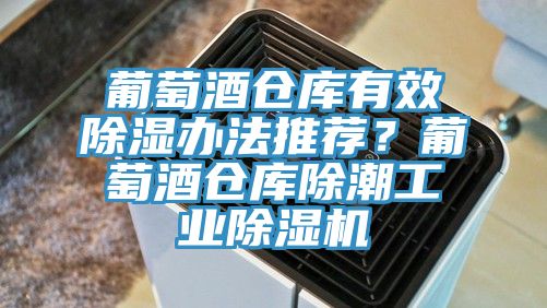 葡萄酒仓库有效除湿办法推荐？葡萄酒仓库除潮工业猫咪成人官网