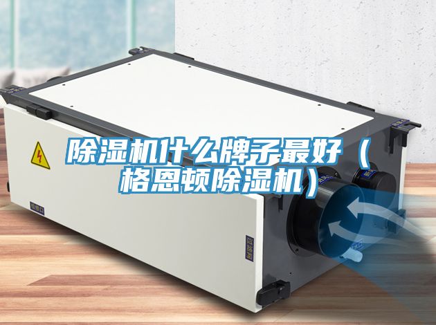猫咪成人官网什么牌子最好（格恩顿猫咪成人官网）