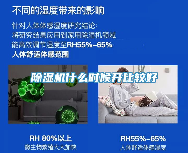 猫咪成人官网什么时候开比较好