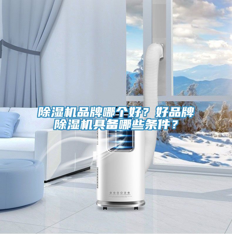 猫咪成人官网品牌哪个好？好品牌猫咪成人官网具备哪些条件？