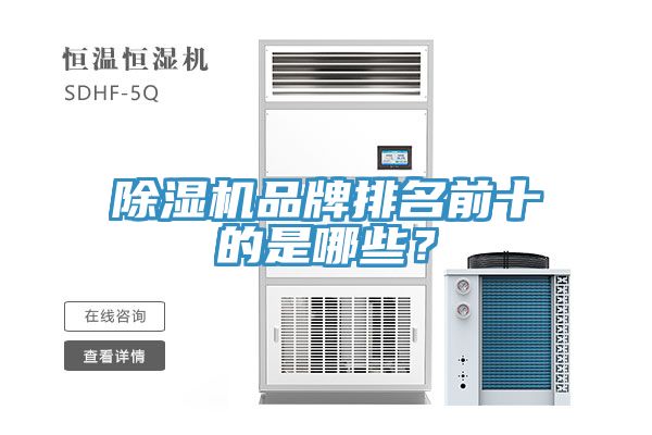 猫咪成人官网品牌排名前十的是哪些？