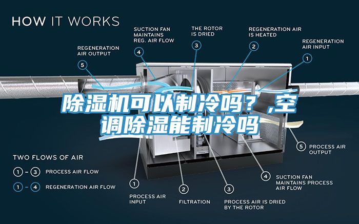 猫咪成人官网可以制冷吗？,空调除湿能制冷吗