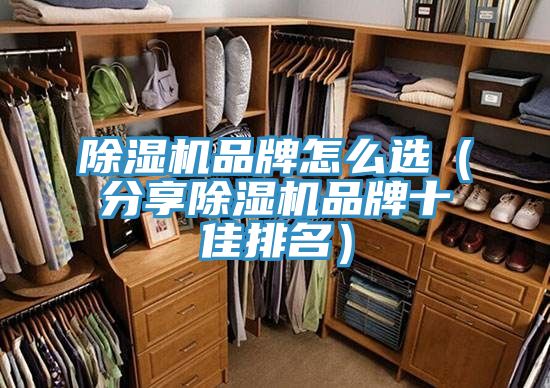 猫咪成人官网品牌怎么选（分享猫咪成人官网品牌十佳排名）