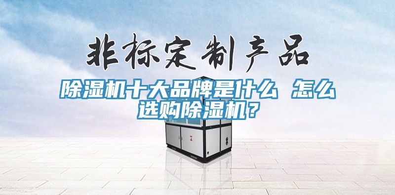猫咪成人官网十大品牌是什么 怎么选购猫咪成人官网？