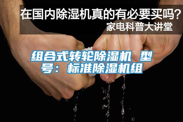 组合式转轮猫咪成人官网 型号：标准猫咪成人官网组