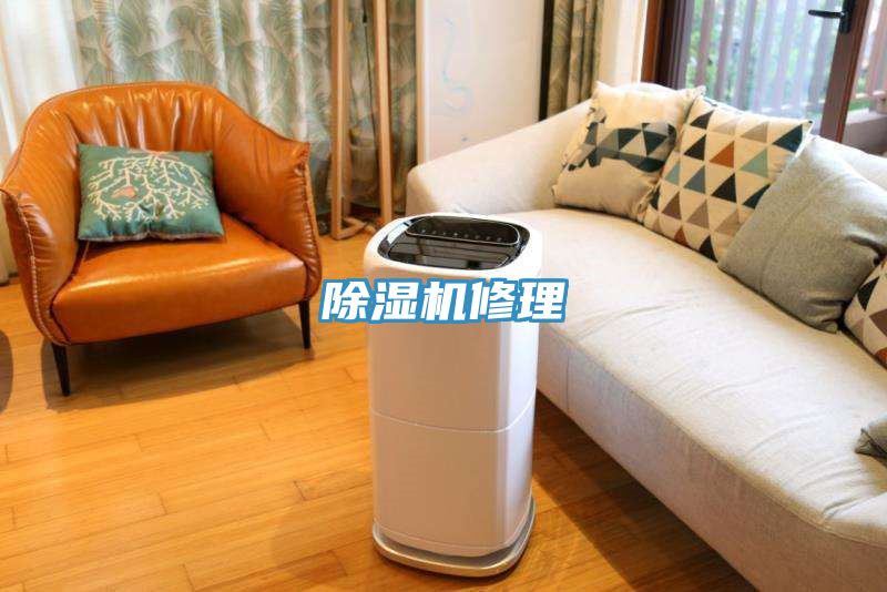 猫咪成人官网修理