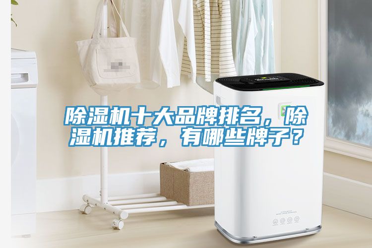 猫咪成人官网十大品牌排名，猫咪成人官网推荐，有哪些牌子？