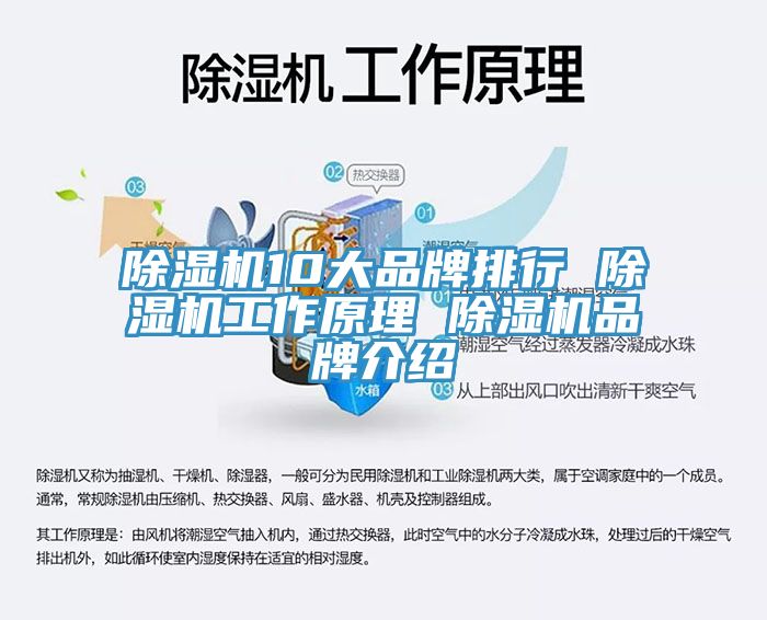 猫咪成人官网10大品牌排行 猫咪成人官网工作原理 猫咪成人官网品牌介绍