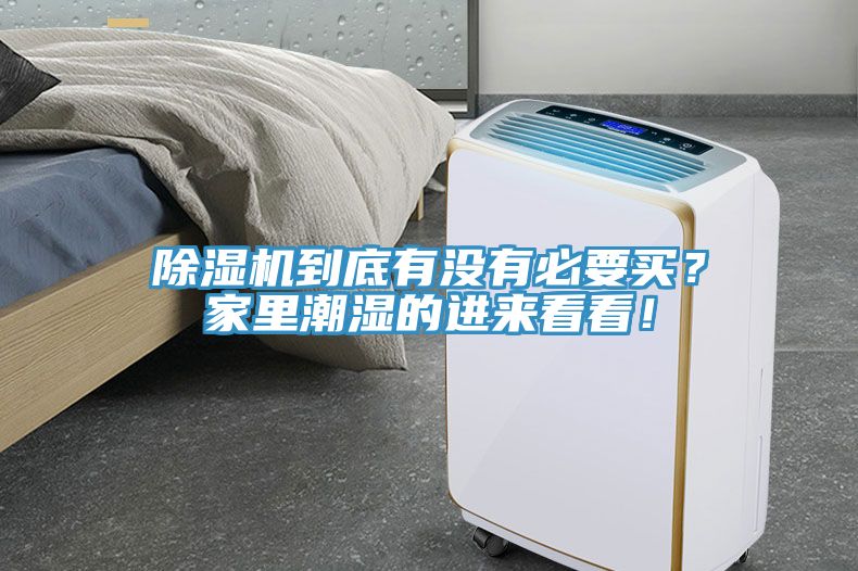 猫咪成人官网到底有没有必要买？家里潮湿的进来看看！