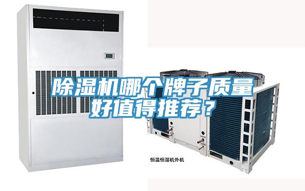 猫咪成人官网哪个牌子质量好值得推荐？
