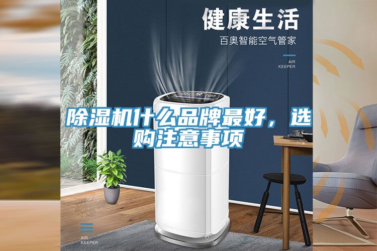 猫咪成人官网什么品牌最好，选购注意事项