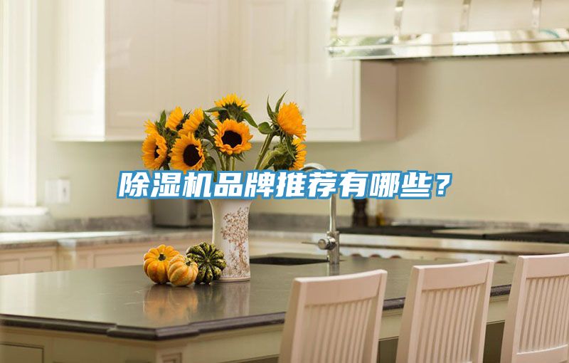 猫咪成人官网品牌推荐有哪些？
