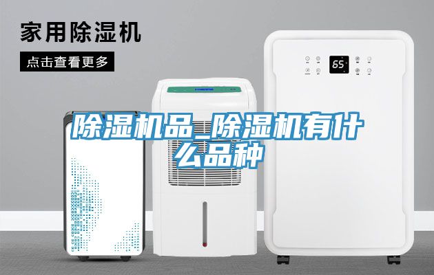 猫咪成人官网品_猫咪成人官网有什么品种