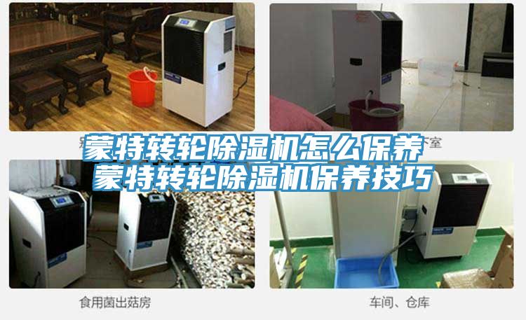 蒙特转轮猫咪成人官网怎么保养 蒙特转轮猫咪成人官网保养技巧