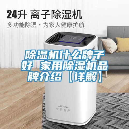 猫咪成人官网什么牌子好 家用猫咪成人官网品牌介绍【详解】