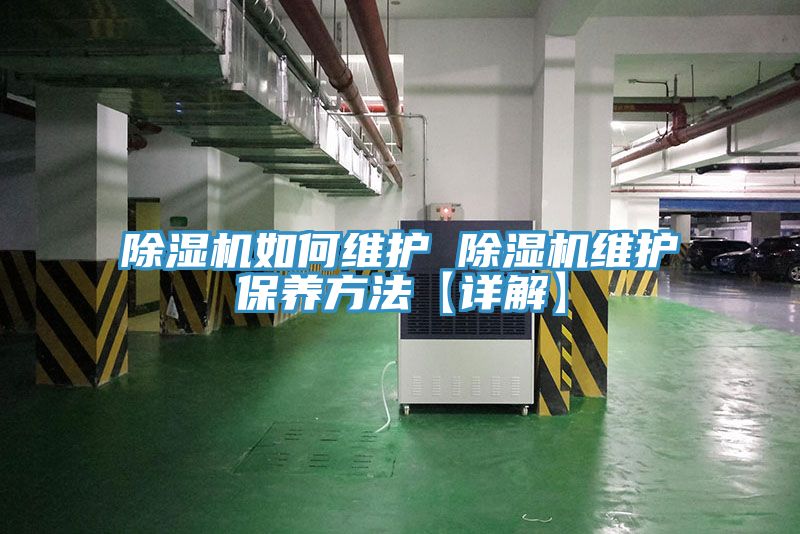 猫咪成人官网如何维护 猫咪成人官网维护保养方法【详解】